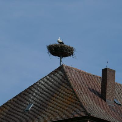 034 Das Land der Störche